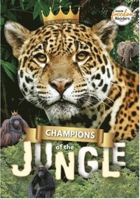 bokomslag Champions of the Jungle