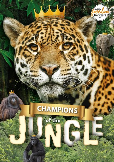 Madeline Tyler - Champions of the Jungle, Häftad