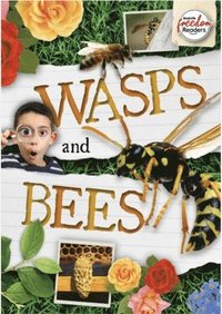bokomslag Wasps and Bees