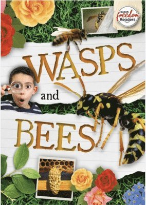 bokomslag Wasps and Bees