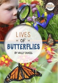bokomslag Lives of Butterflies
