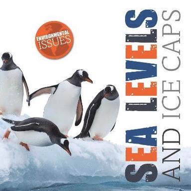 bokomslag Sea Levels and Ice Caps