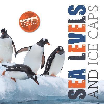 Sea Levels and Ice Caps 1