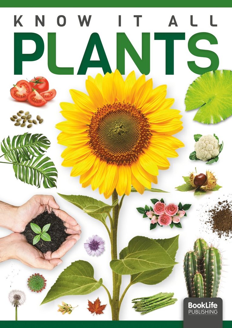 Louise Nelson - Plants, Häftad