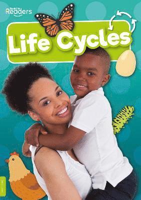 Life Cycles 1