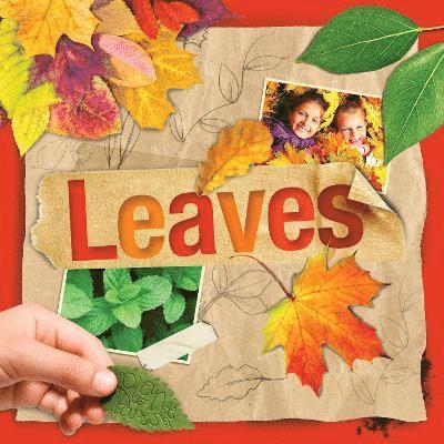 Leaves 1