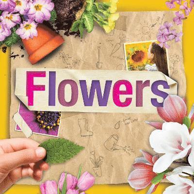 Flowers 1