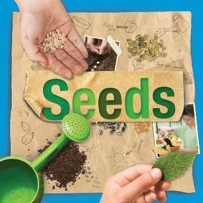 Seeds 1