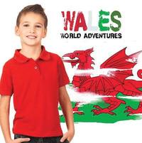 bokomslag Wales