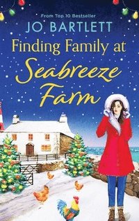 bokomslag Finding Family at Seabreeze Farm