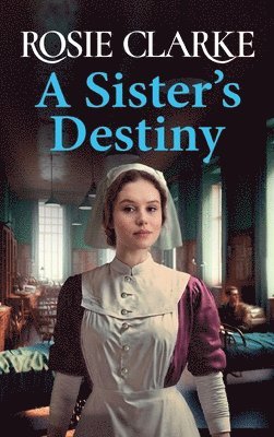 A Sister's Destiny 1