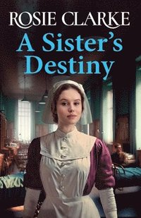 bokomslag A Sister's Destiny