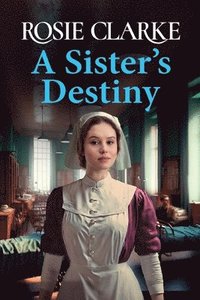 bokomslag A Sister's Destiny