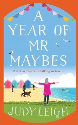 bokomslag Year of Mr Maybes