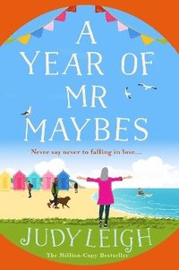 bokomslag Year of Mr Maybes