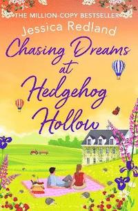 bokomslag Chasing Dreams at Hedgehog Hollow