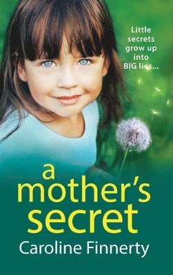 bokomslag A Mother's Secret