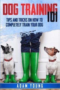 bokomslag Dog Training 101