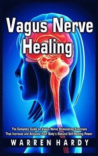 bokomslag Vagus Nerve Healing