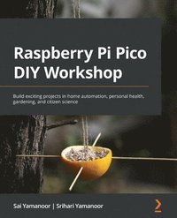 bokomslag Raspberry Pi Pico DIY Workshop