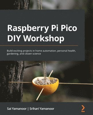Raspberry Pi Pico DIY Workshop 1