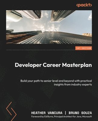 bokomslag Developer Career Masterplan