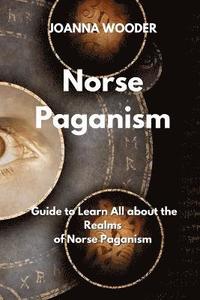 bokomslag Norse Paganism