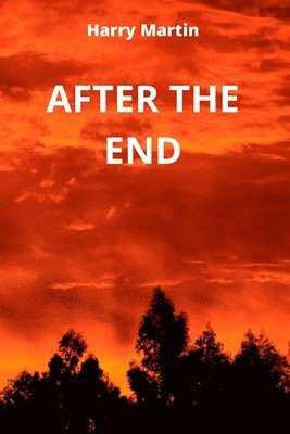 After the End 1