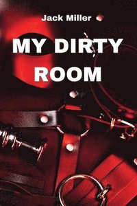 bokomslag My Dirty Room