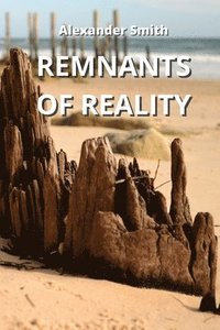 bokomslag Remnants of Reality