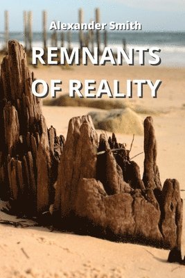 Remnants of Reality 1