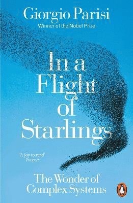 In a Flight of Starlings 1
