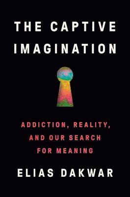 bokomslag Captive Imagination