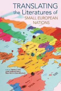 bokomslag Translating the Literatures of Small European Nations