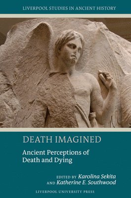 bokomslag Death Imagined