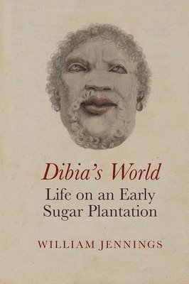 bokomslag Dibia's World: Life on an Early Sugar Plantation