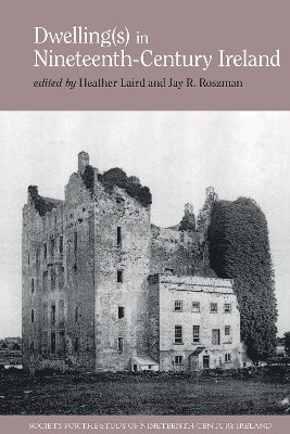 bokomslag Dwelling(s) in Nineteenth-Century Ireland