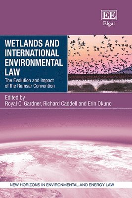 bokomslag Wetlands and International Environmental Law