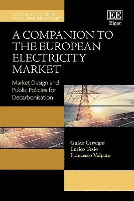 bokomslag Companion to the European Electricity Market