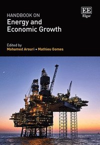 bokomslag Handbook on Energy and Economic Growth