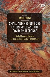 bokomslag Small and Medium Sized Enterprises and the COVID-19 Response