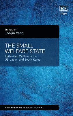 bokomslag The Small Welfare State