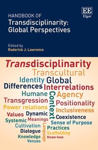 bokomslag Handbook of Transdisciplinarity: Global Perspectives
