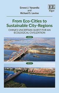 bokomslag From Eco-Cities to Sustainable City-Regions