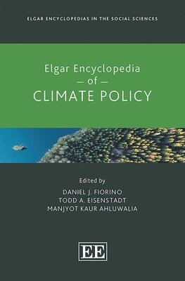 bokomslag Elgar Encyclopedia of Climate Policy