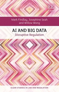 bokomslag AI and Big Data