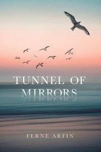 bokomslag Tunnel of Mirrors