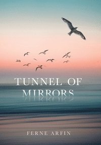 bokomslag Tunnel of Mirrors