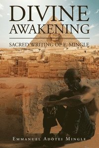 bokomslag Divine Awakening