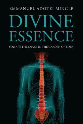 Divine Essence 1